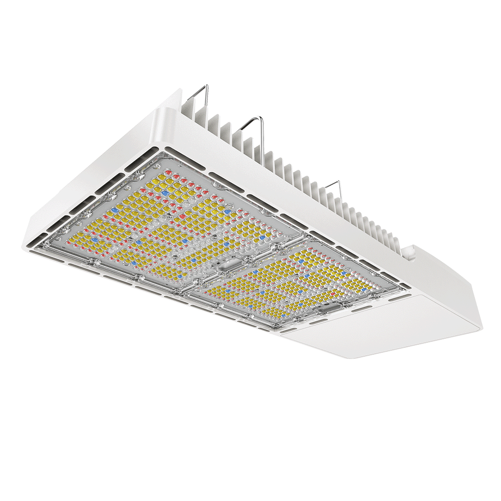 LED Grow Light P Series