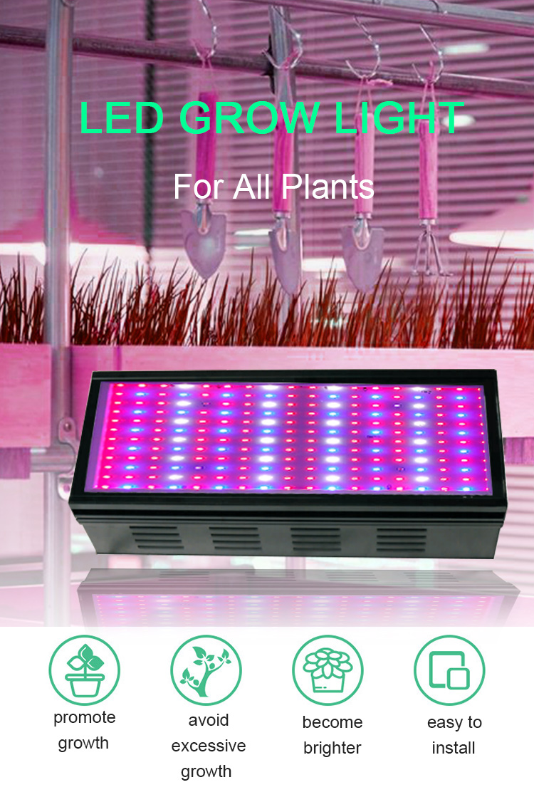 grow light