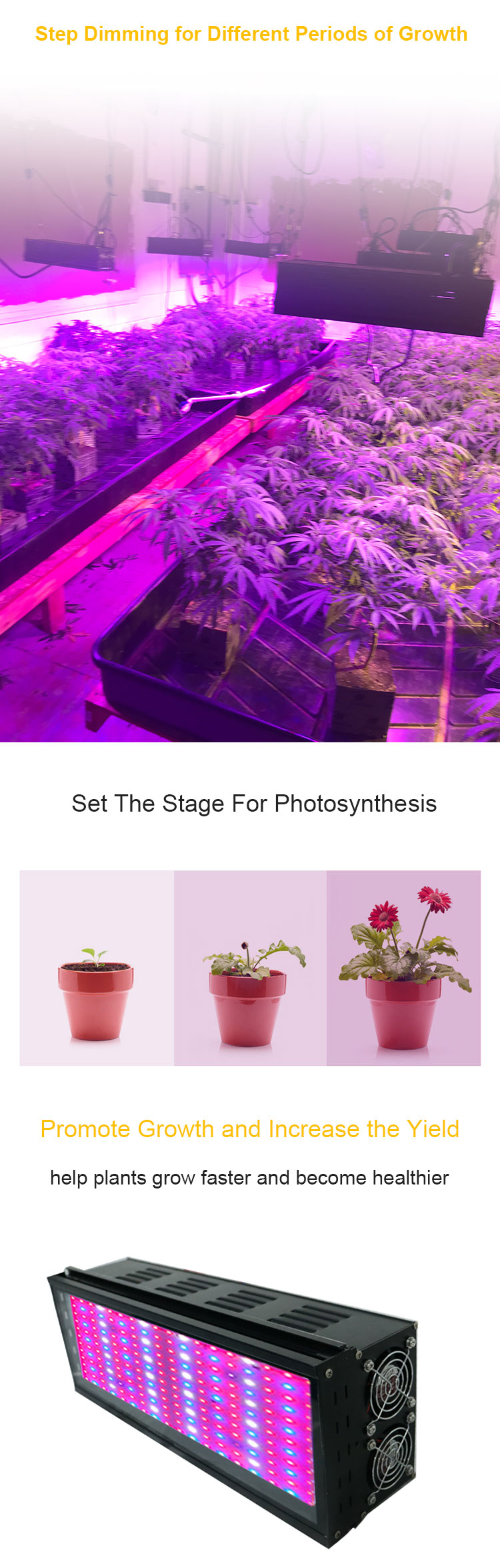 grow light