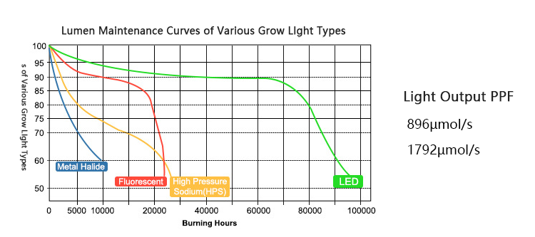 grow light