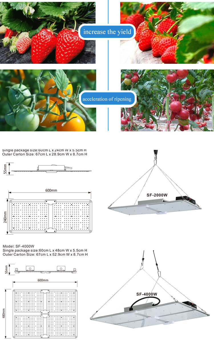 grow light