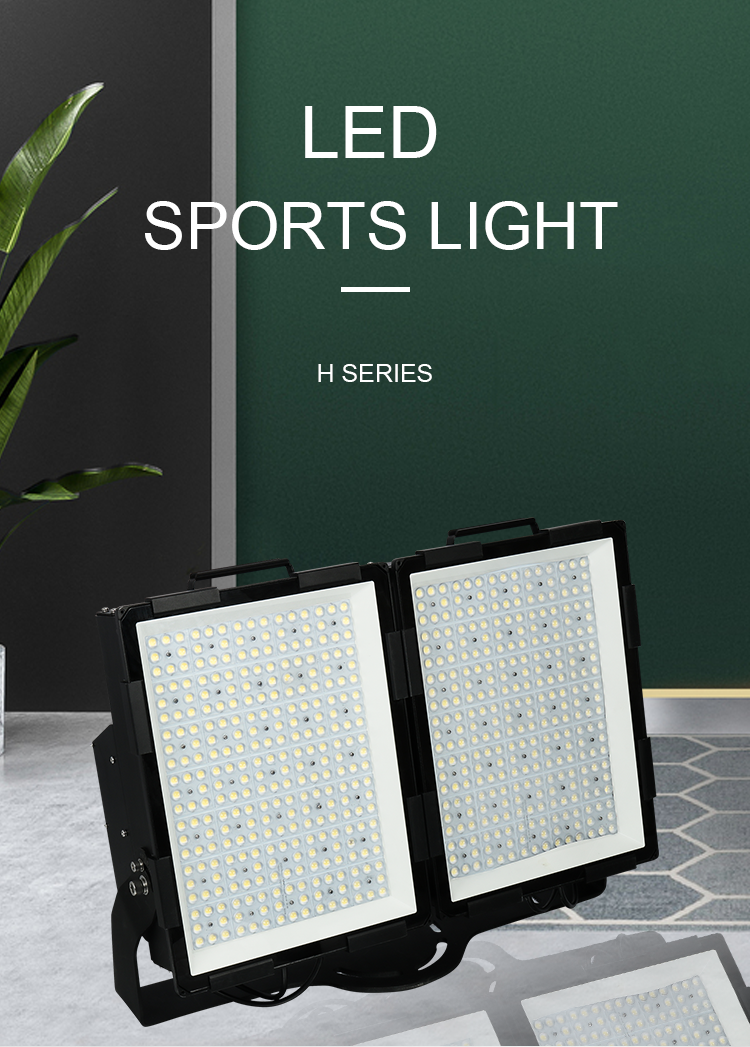 LED outdoor light
