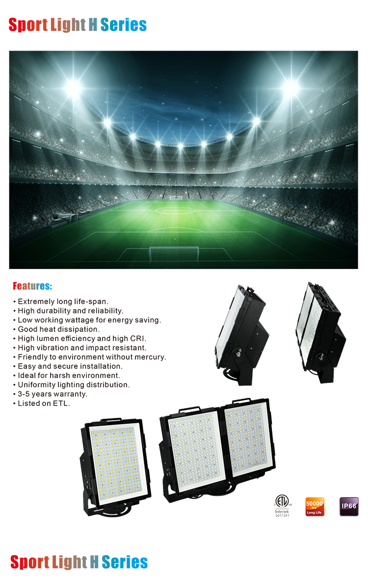 LED outdoor light