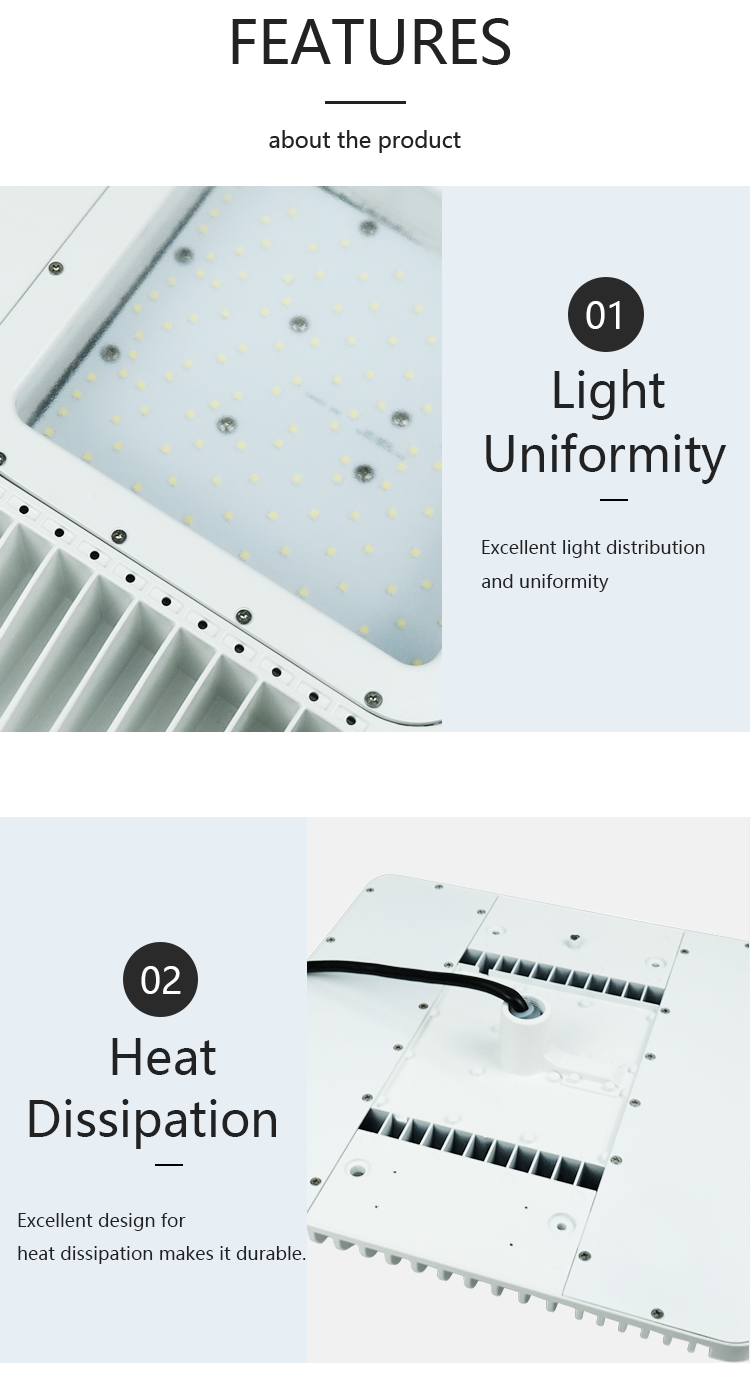 Pan American LED Canopy Light