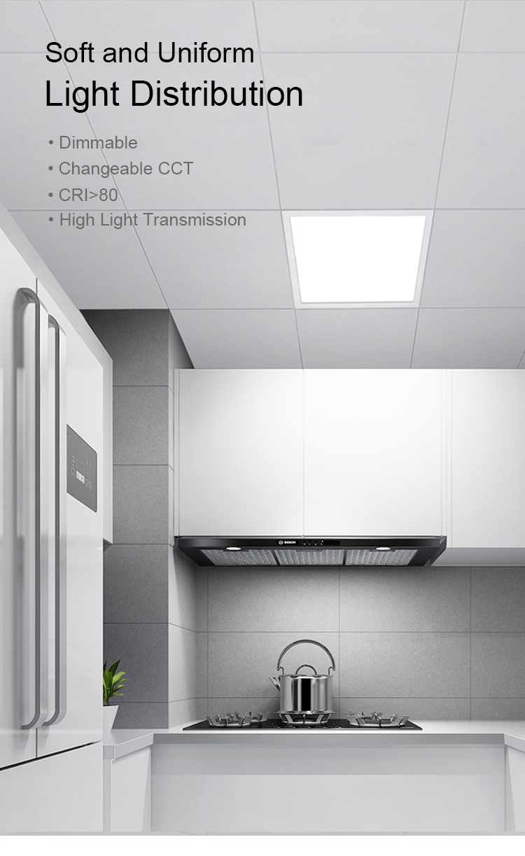 Pan American LED Panel Light