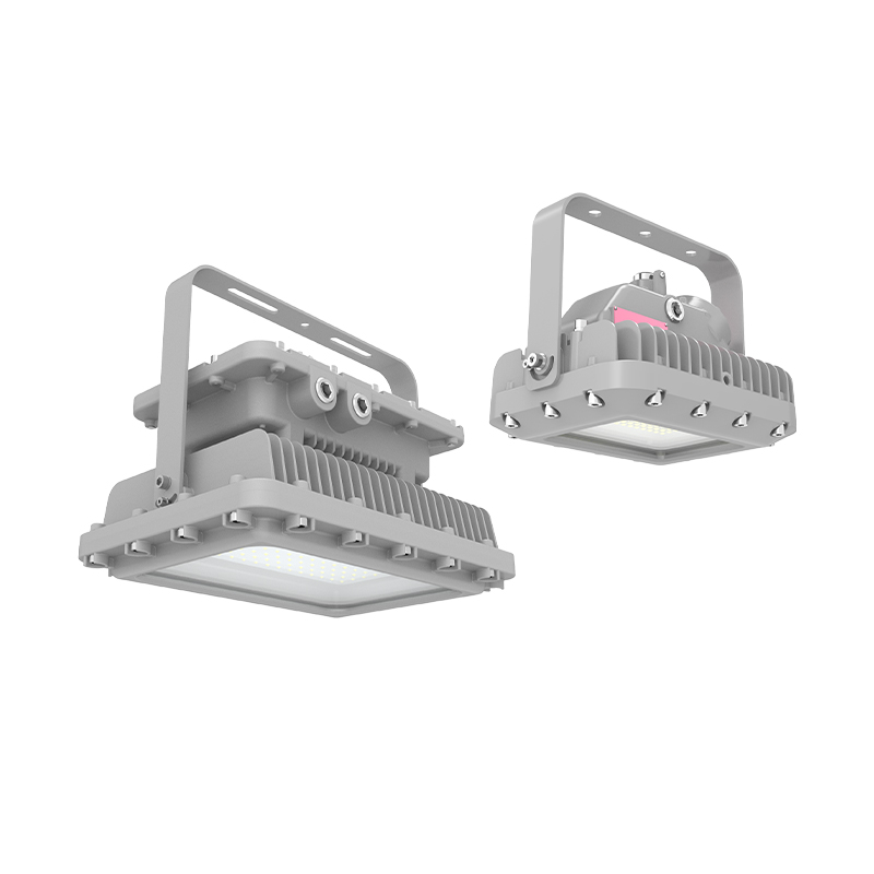 EX-D3D4 Series