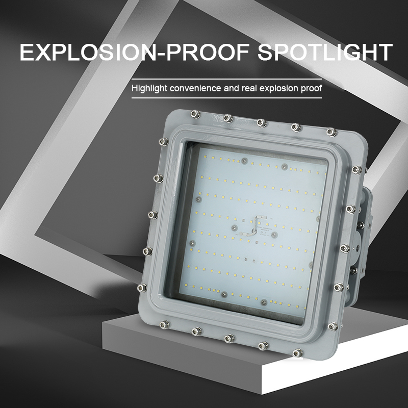 LED Explosion Proof Light D Series