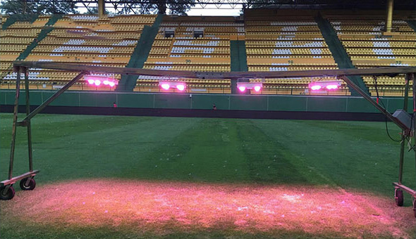 Guangzhou R&F Stadium -- High Power Grow Light