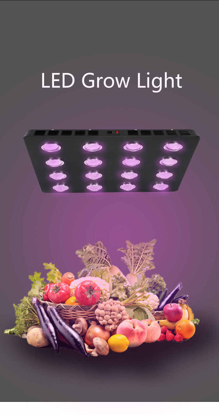 grow light