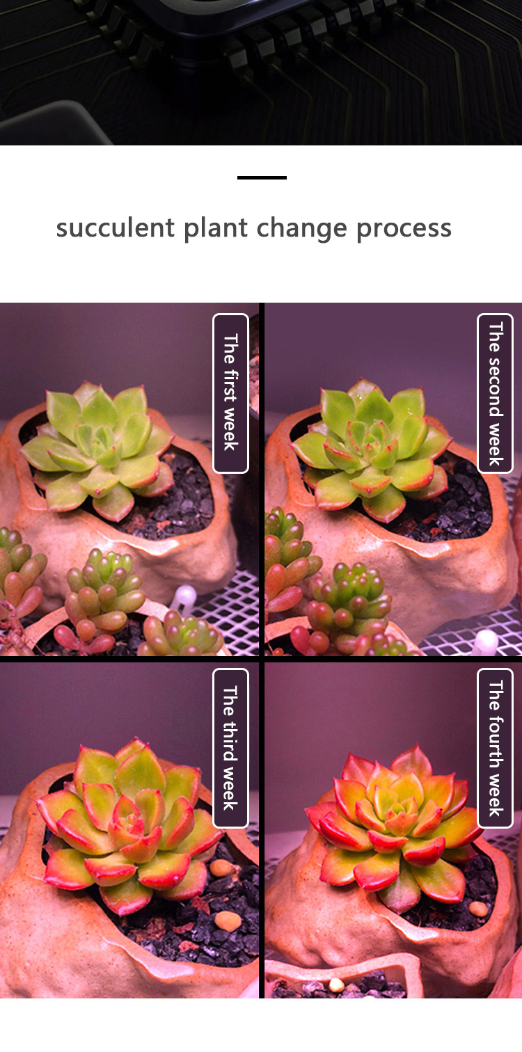 grow light