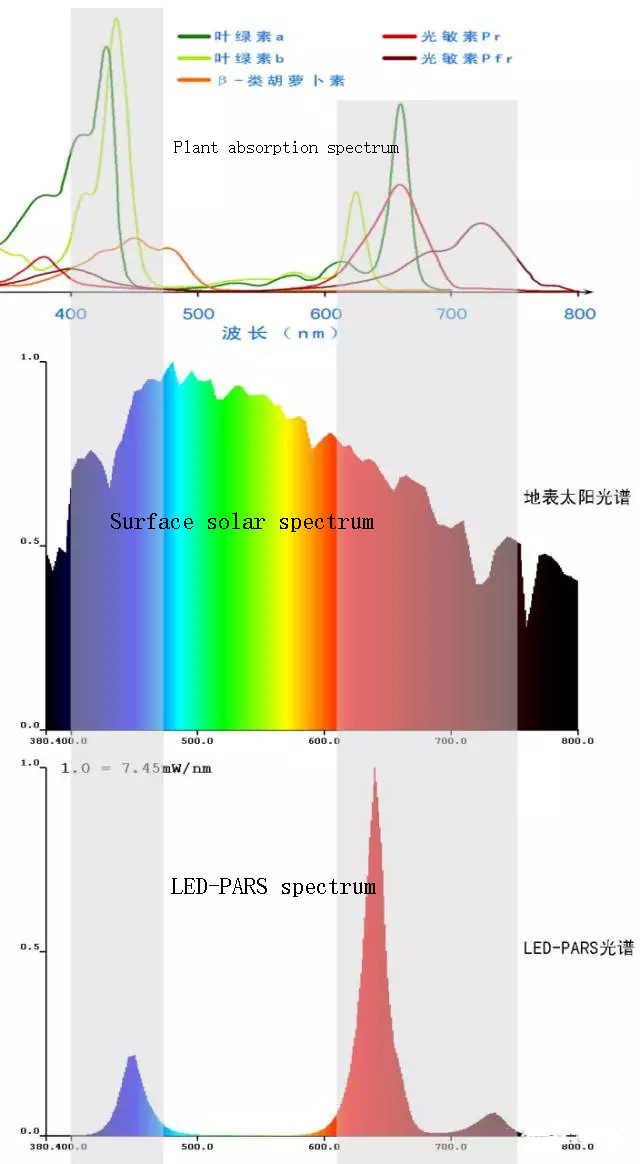 Pan American LED Grow Light