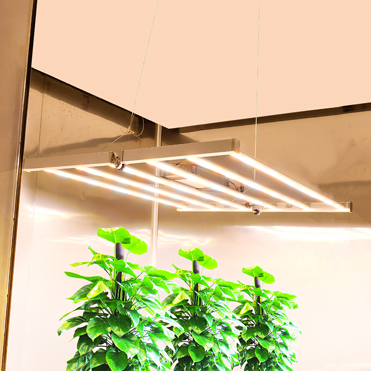 Pan American LED Plant Growth Light