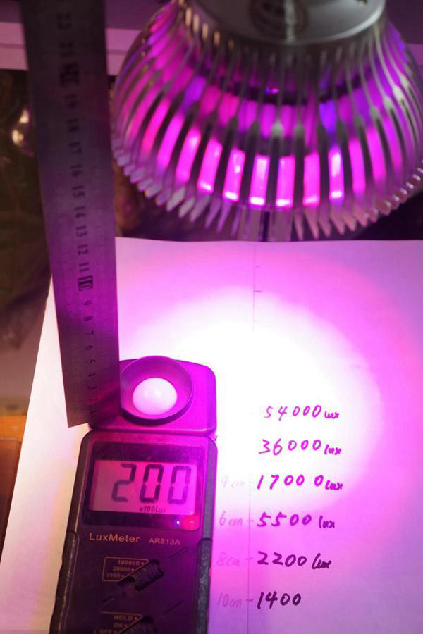 Pan American Grow Light